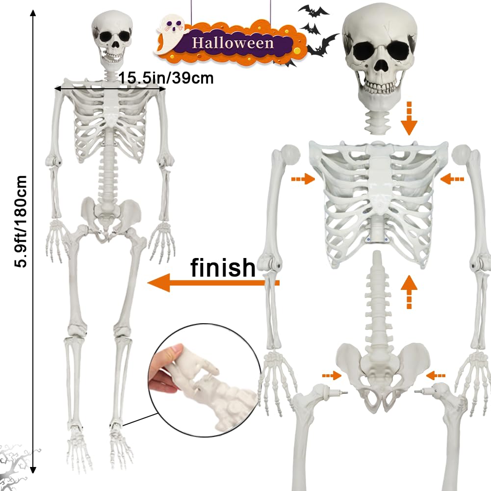 5.9FT Poseable Life Size Skeleton with Movable Joints M3063