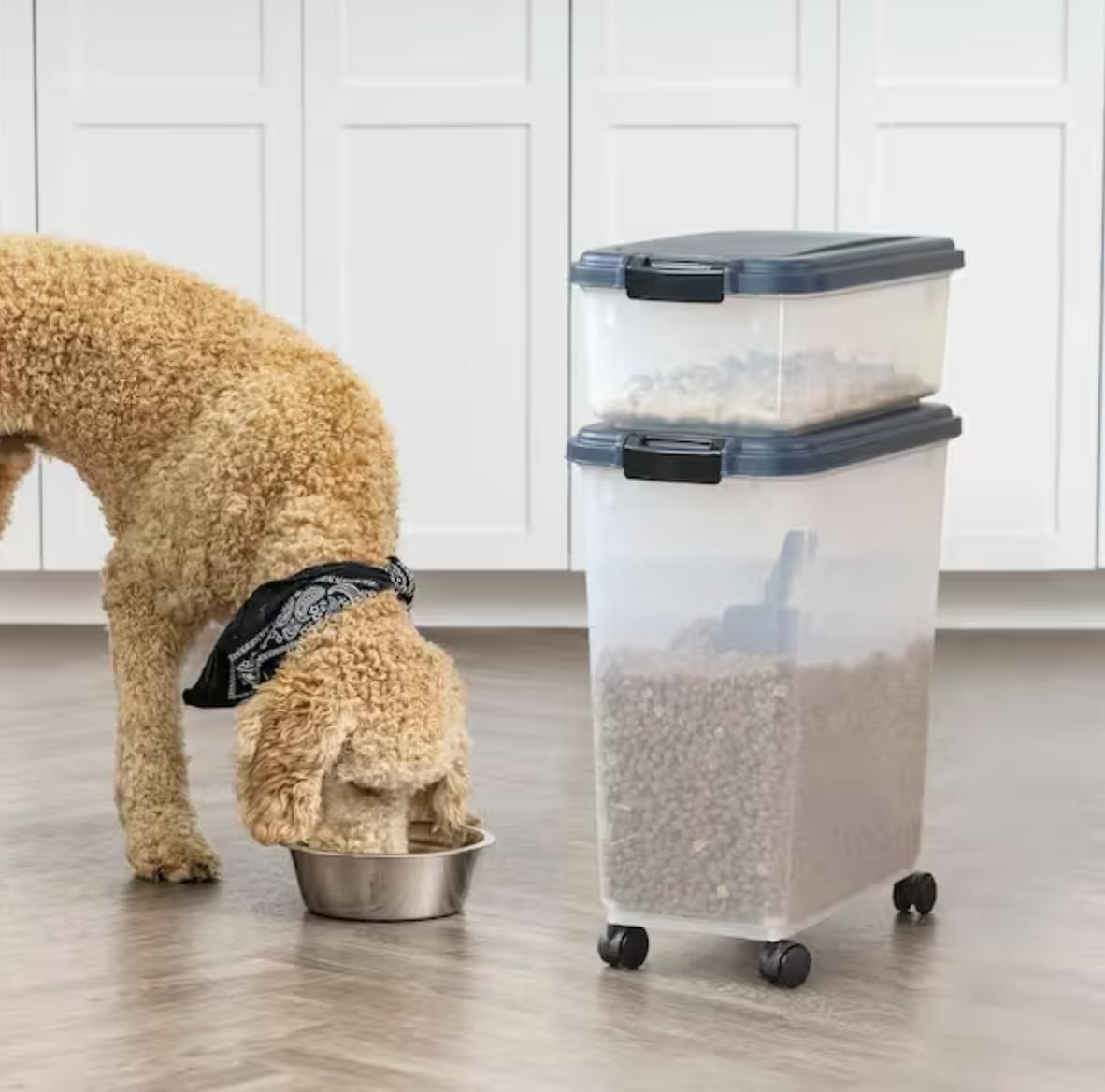 Airtight Pet Food Storage Combo with Scoop P1605
