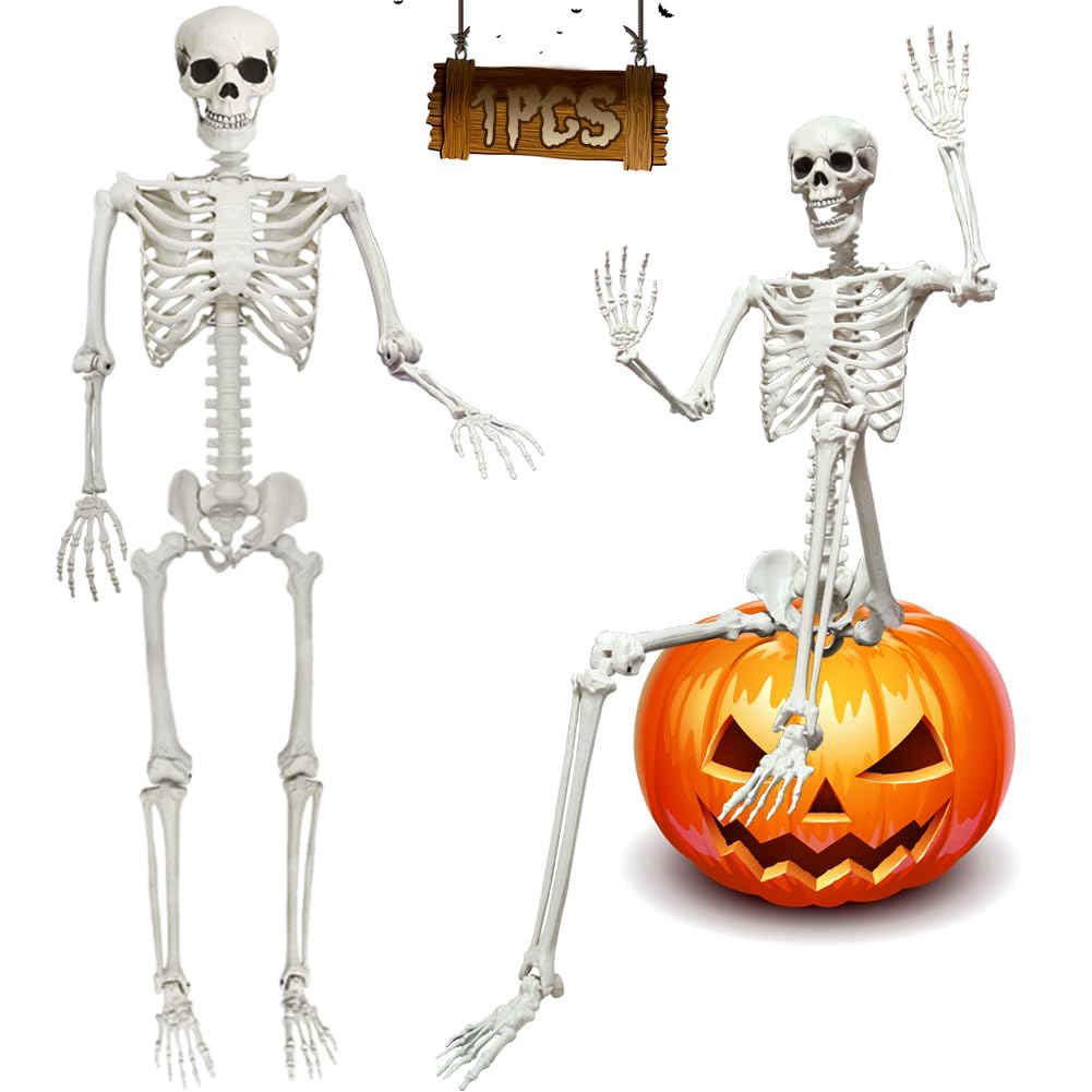 5.9FT Poseable Life Size Skeleton with Movable Joints M3063