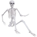 5.4ft Posable Full Body Skeleton S617010