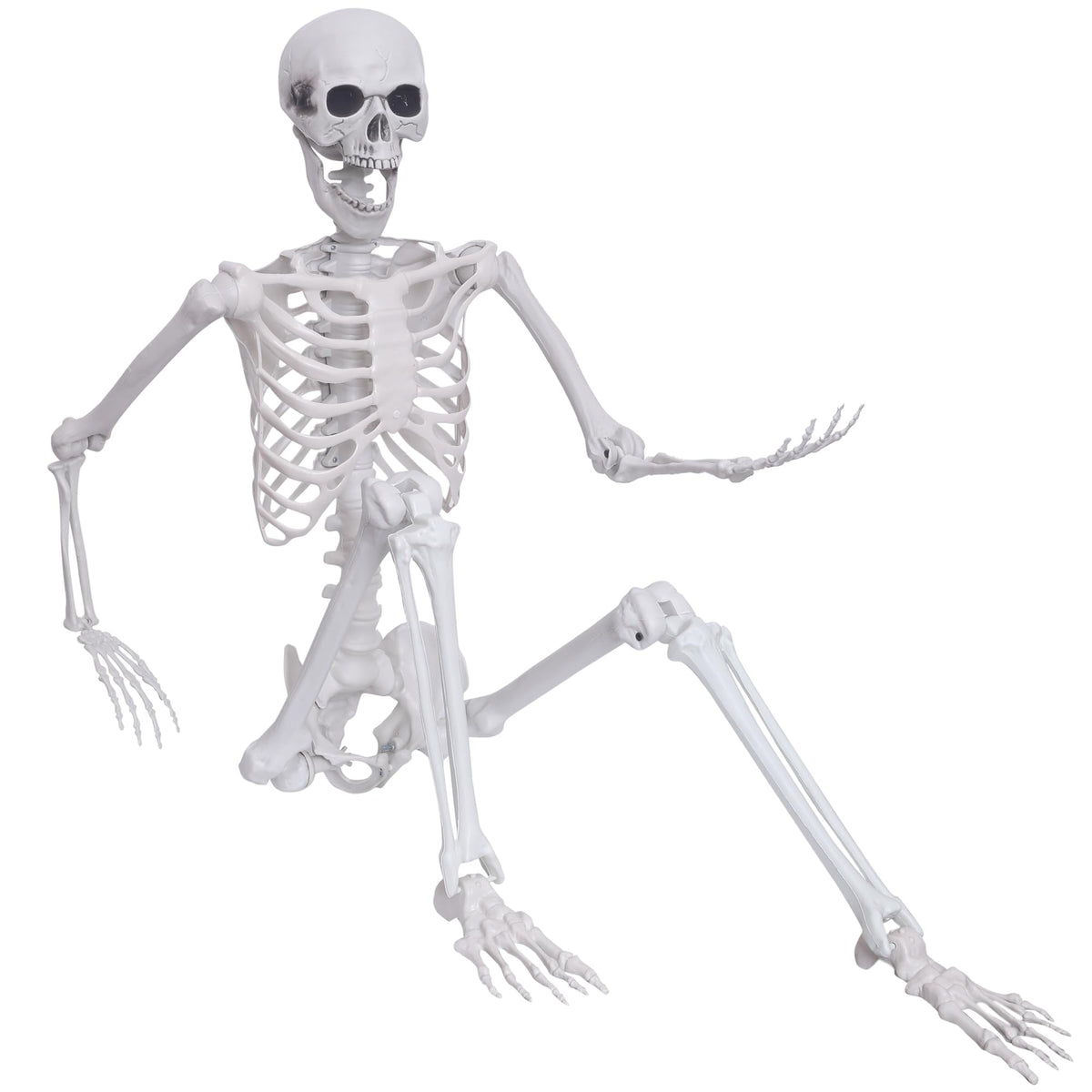 5.4ft Posable Full Body Skeleton S617010