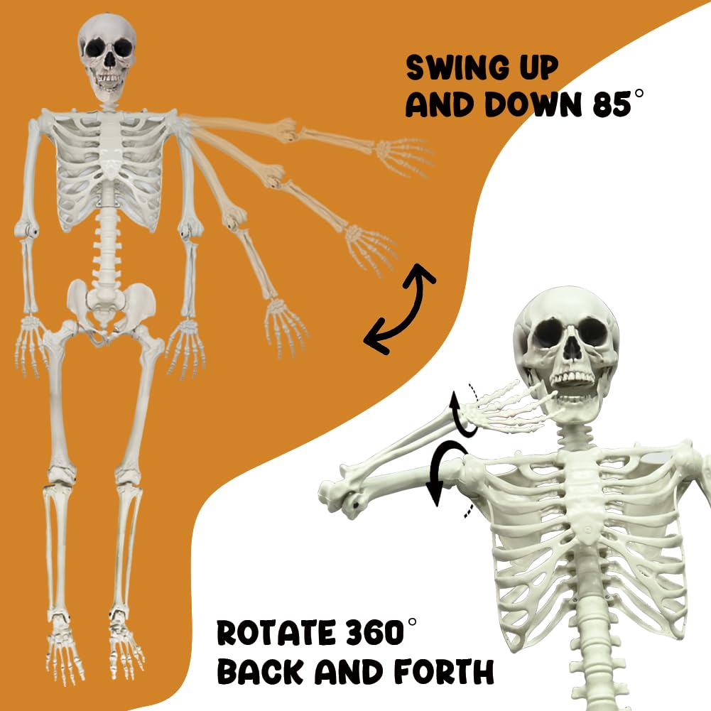 5.9FT Poseable Life Size Skeleton with Movable Joints M3063