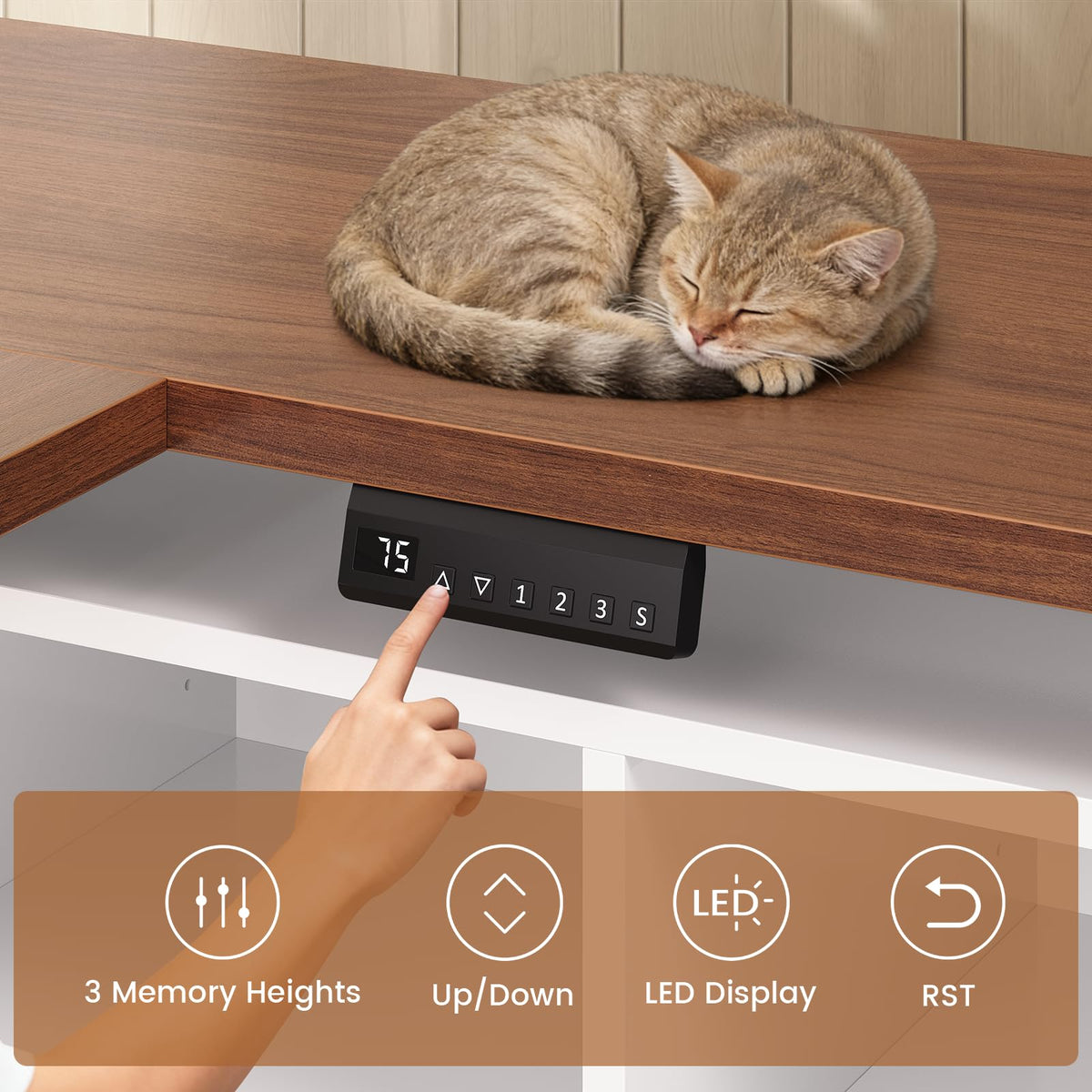 63" L Shaped Electric Standing Desk with Storage S45947