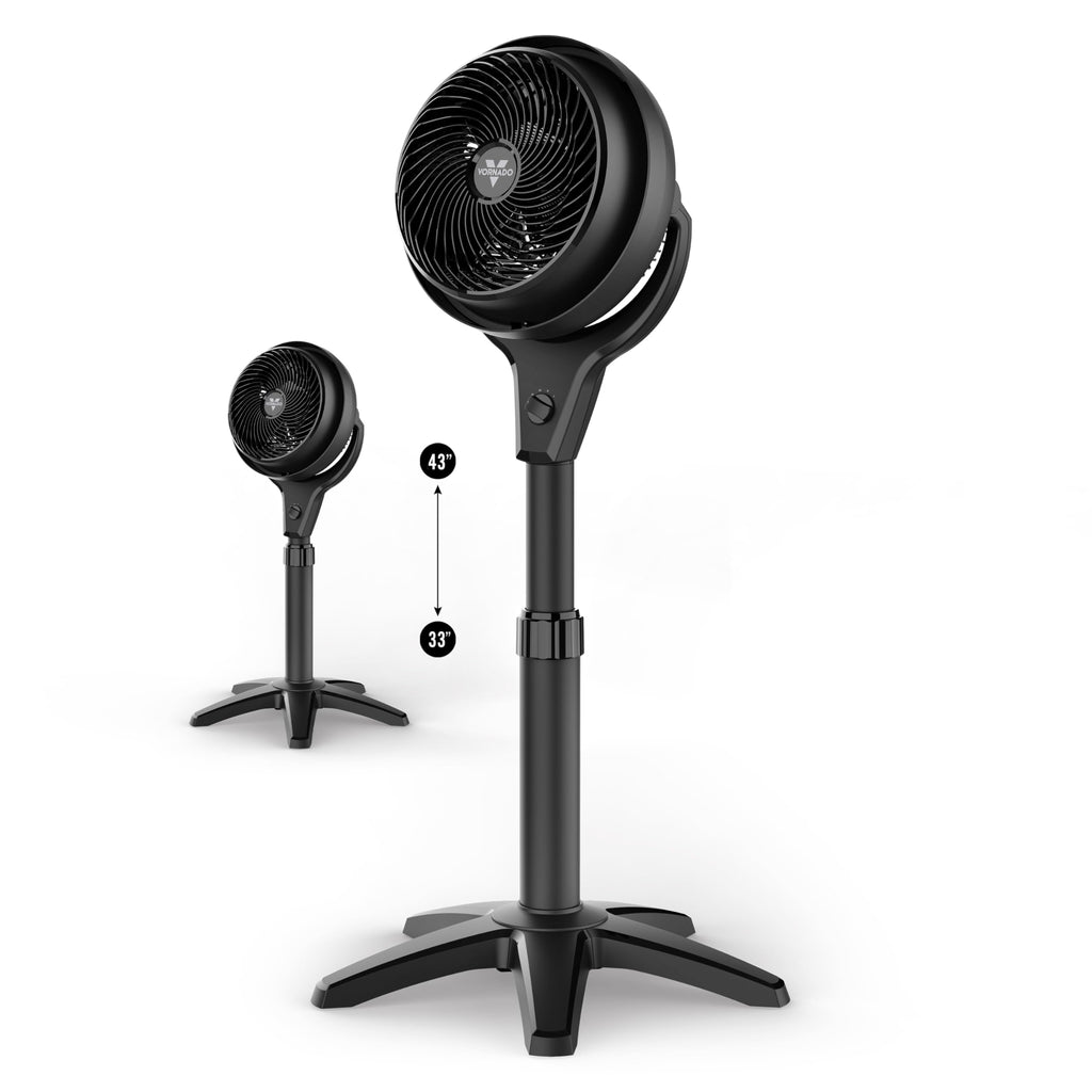 Whole Room Air Circulator Pedestal Fan, 3 Speeds, Black P5677