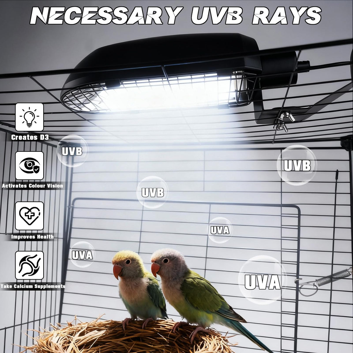 Bird Cage Light Fixture Combo Kit with Adjustable Timer Q277