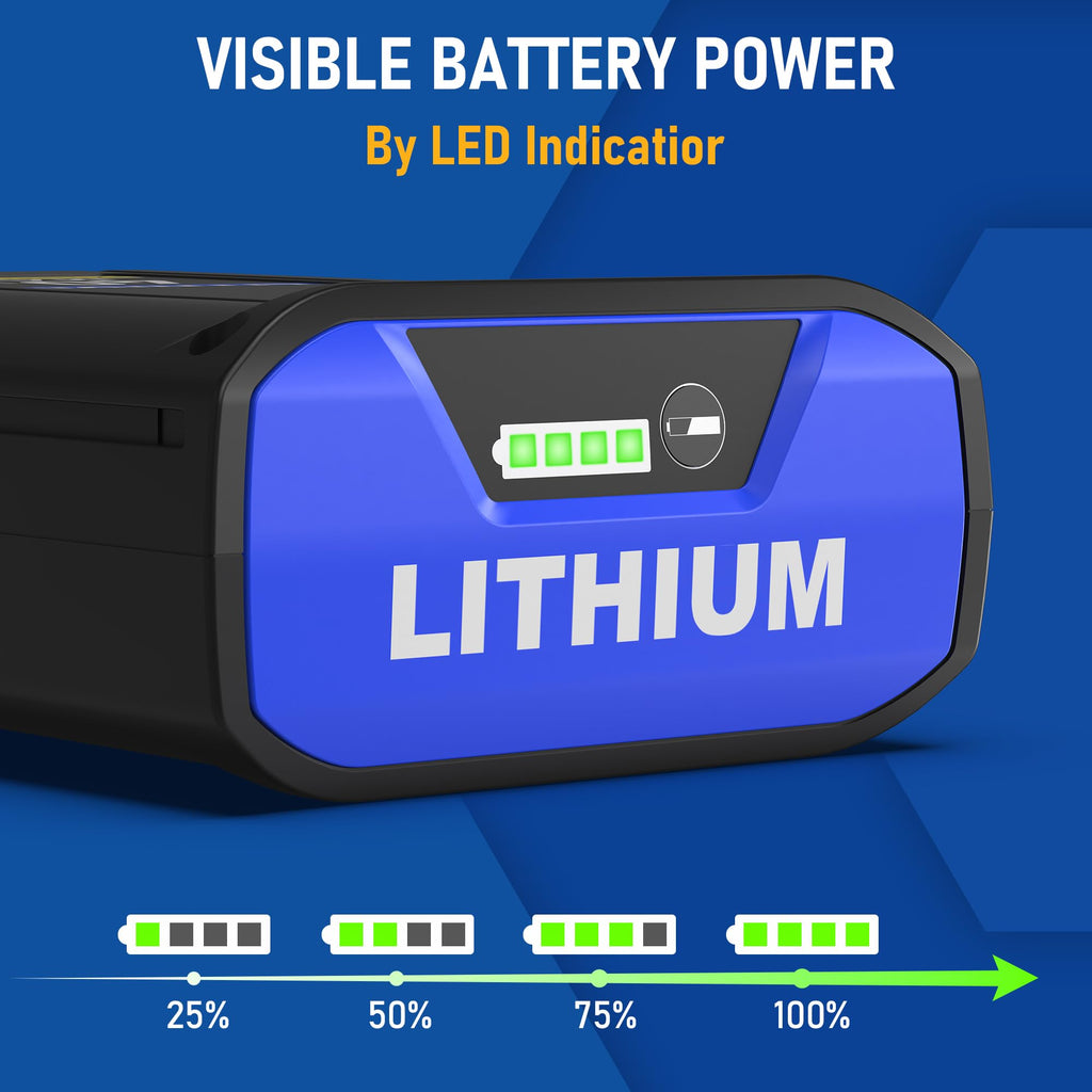 40 Volt Lithium Ion Battery W239