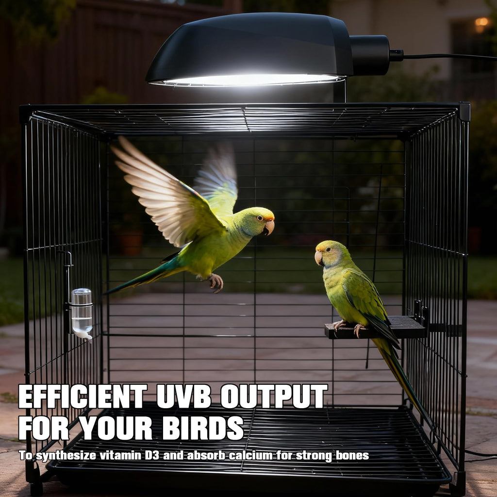 Bird Cage Light Fixture Combo Kit with Adjustable Timer Q277