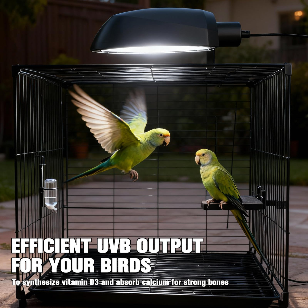 Bird Cage Light Fixture Combo Kit with Adjustable Timer Q277