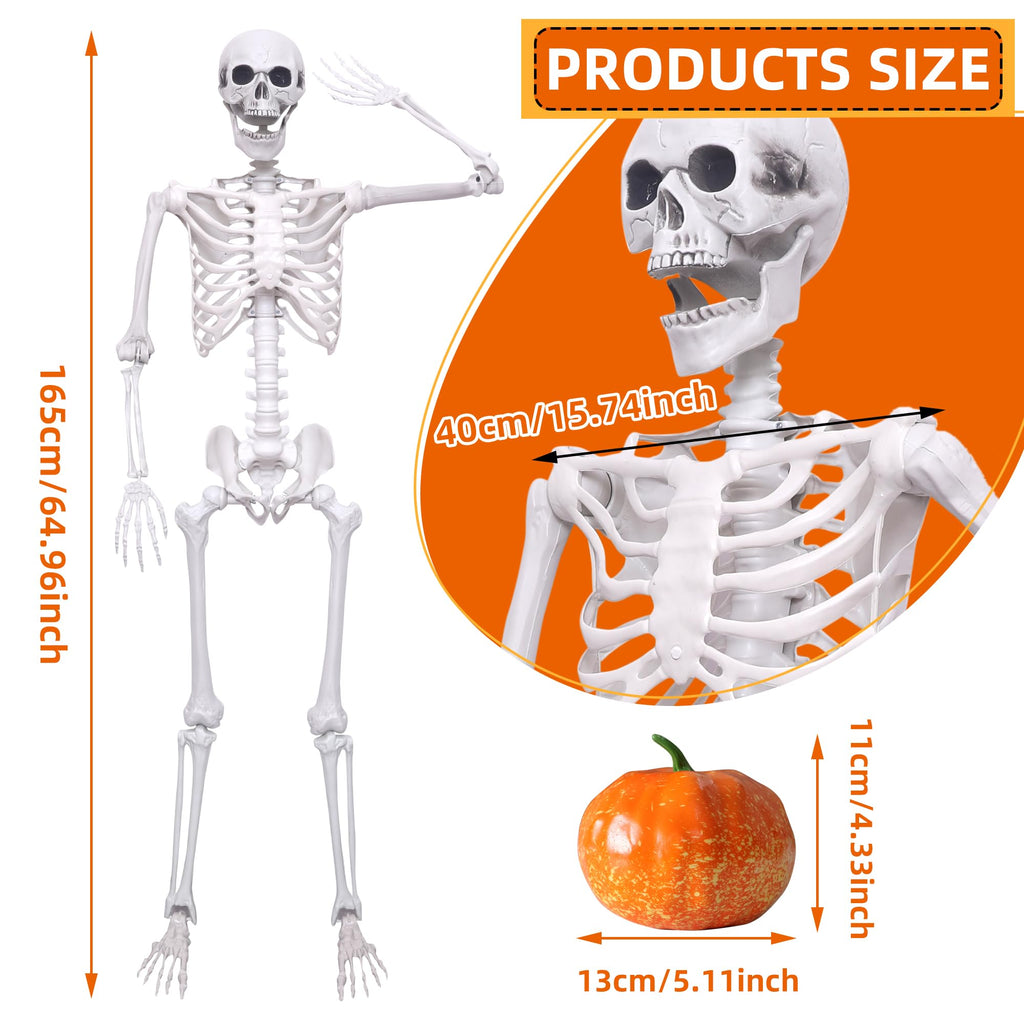 5.4ft Posable Full Body Skeleton S617010