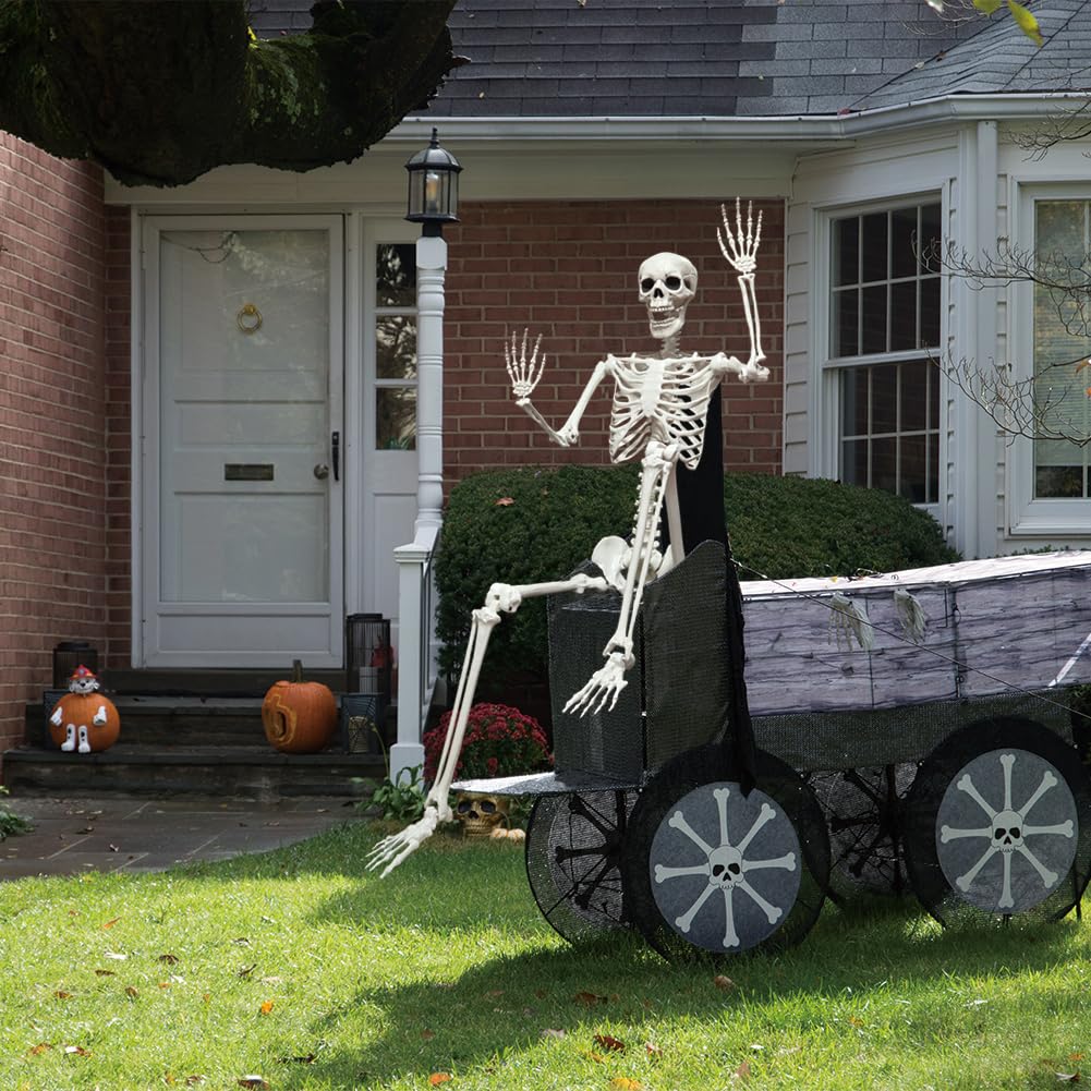 5.9FT Poseable Life Size Skeleton with Movable Joints M3063