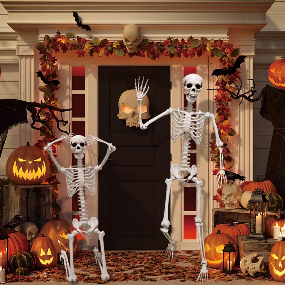 5.9FT Poseable Life Size Skeleton with Movable Joints M3063