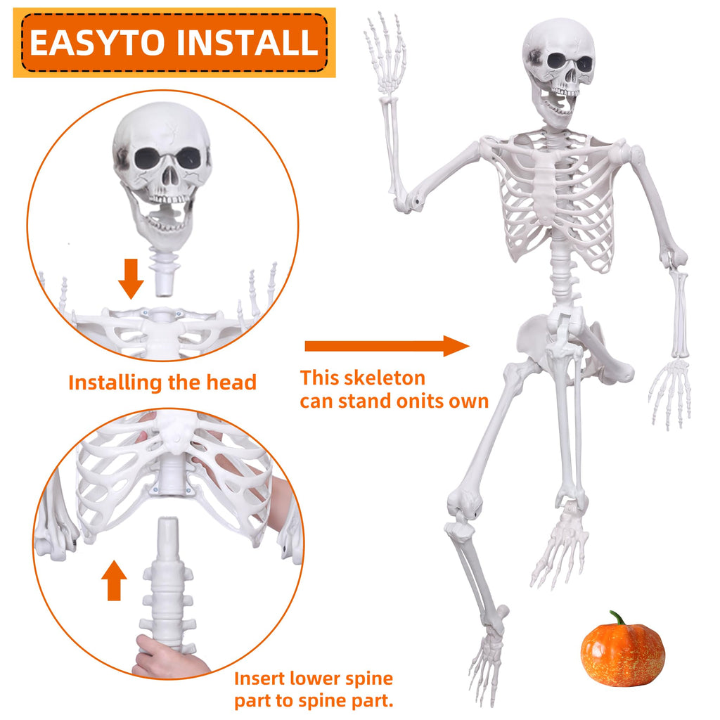 5.4ft Posable Full Body Skeleton S617010