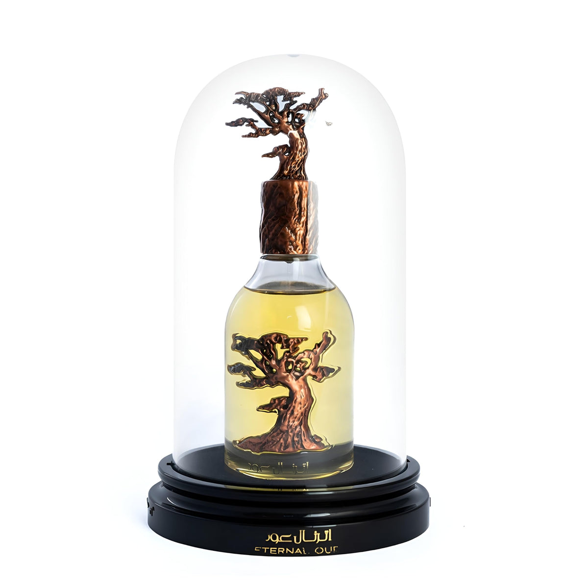 Oud Eau De Parfum Spray 3.4 Ounce K3216