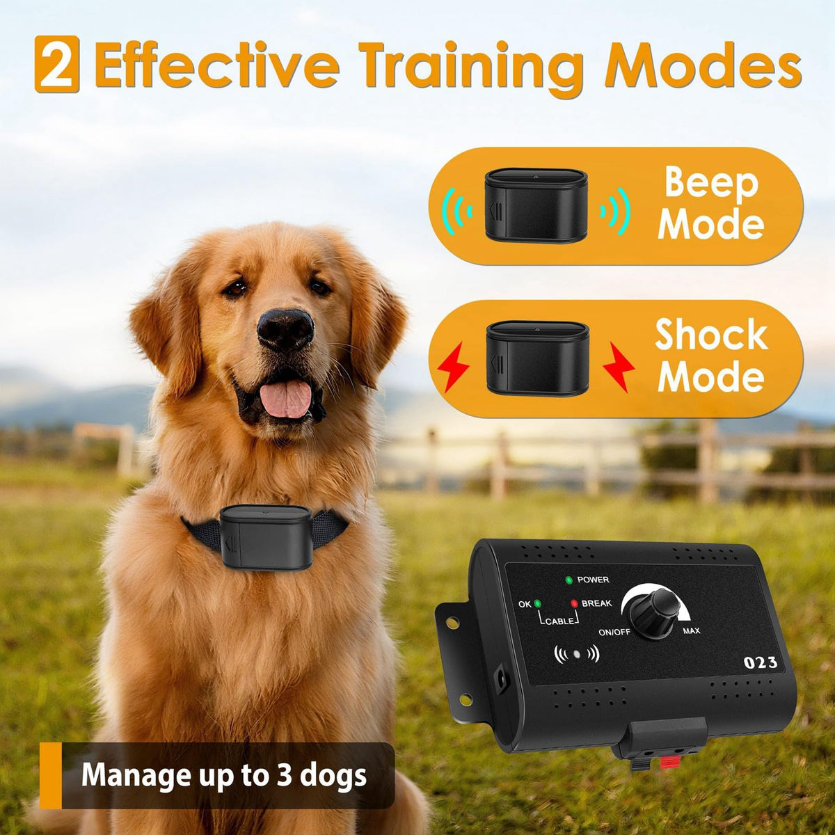 Electric Dog Fence System for 2 Dogs O316