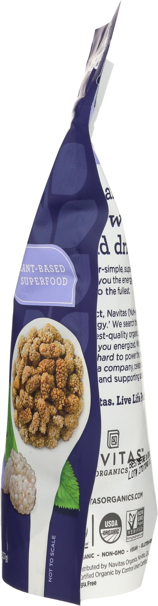 Sun Dried White Turkish Mulberries 8oz V646