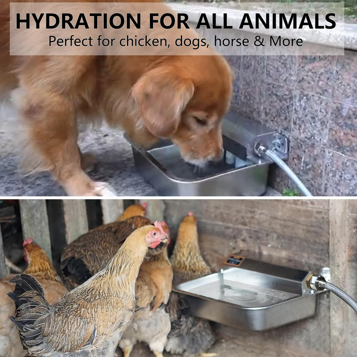 Large 304 Stainless Steel Automatic Chicken Water Dispenser P334047