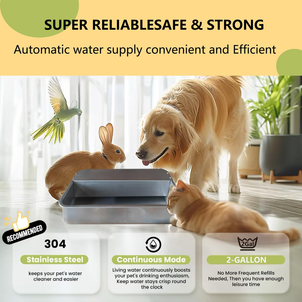 Large 304 Stainless Steel Automatic Chicken Water Dispenser P334047