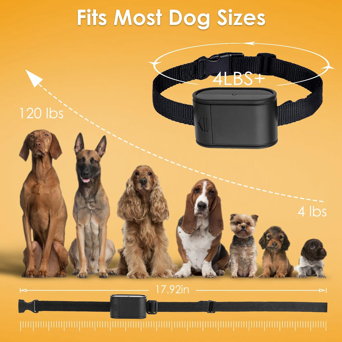 Electric Dog Fence System for 2 Dogs O316