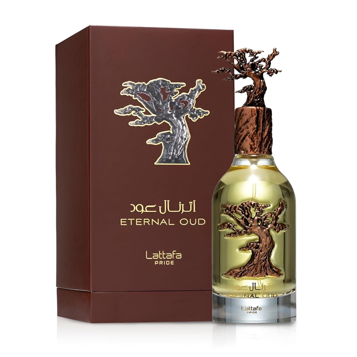 Oud Eau De Parfum Spray 3.4 Ounce K3216