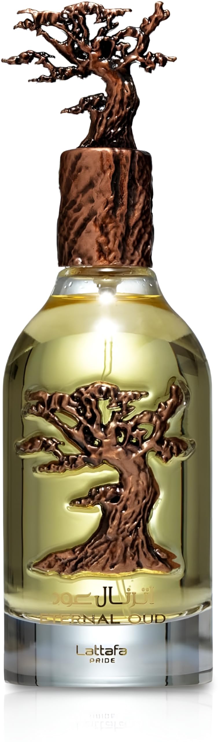 Oud Eau De Parfum Spray 3.4 Ounce K3216