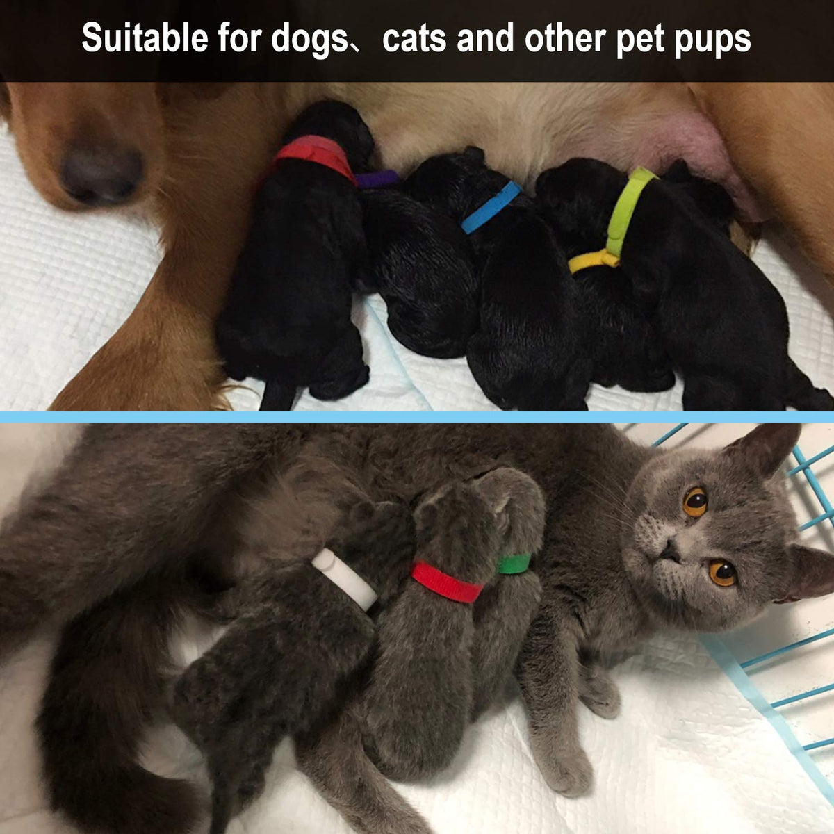 15 Pcs Soft Newborn Pet ID Bands U67279