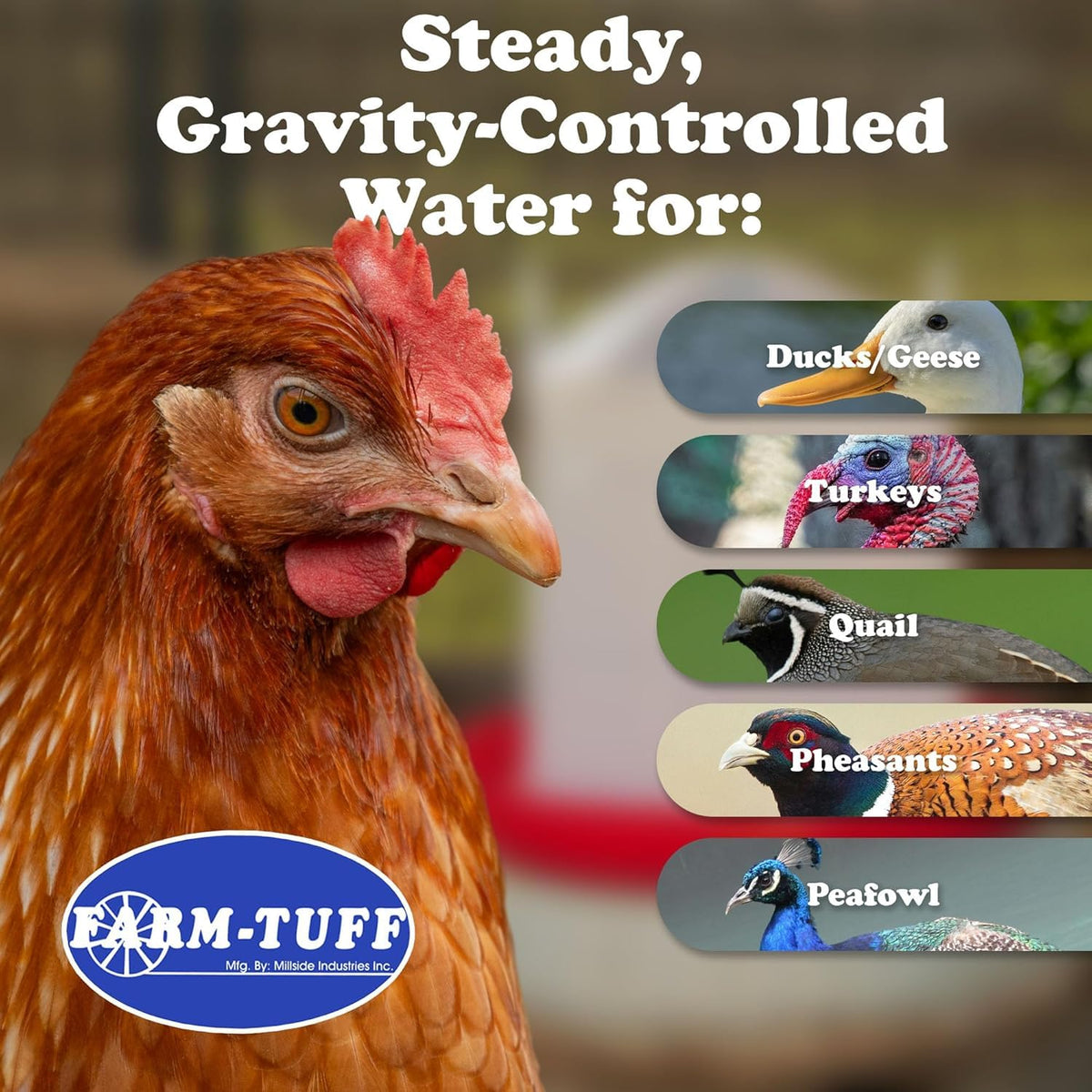 3 Gallon Plastic Poultry Waterer A83427
