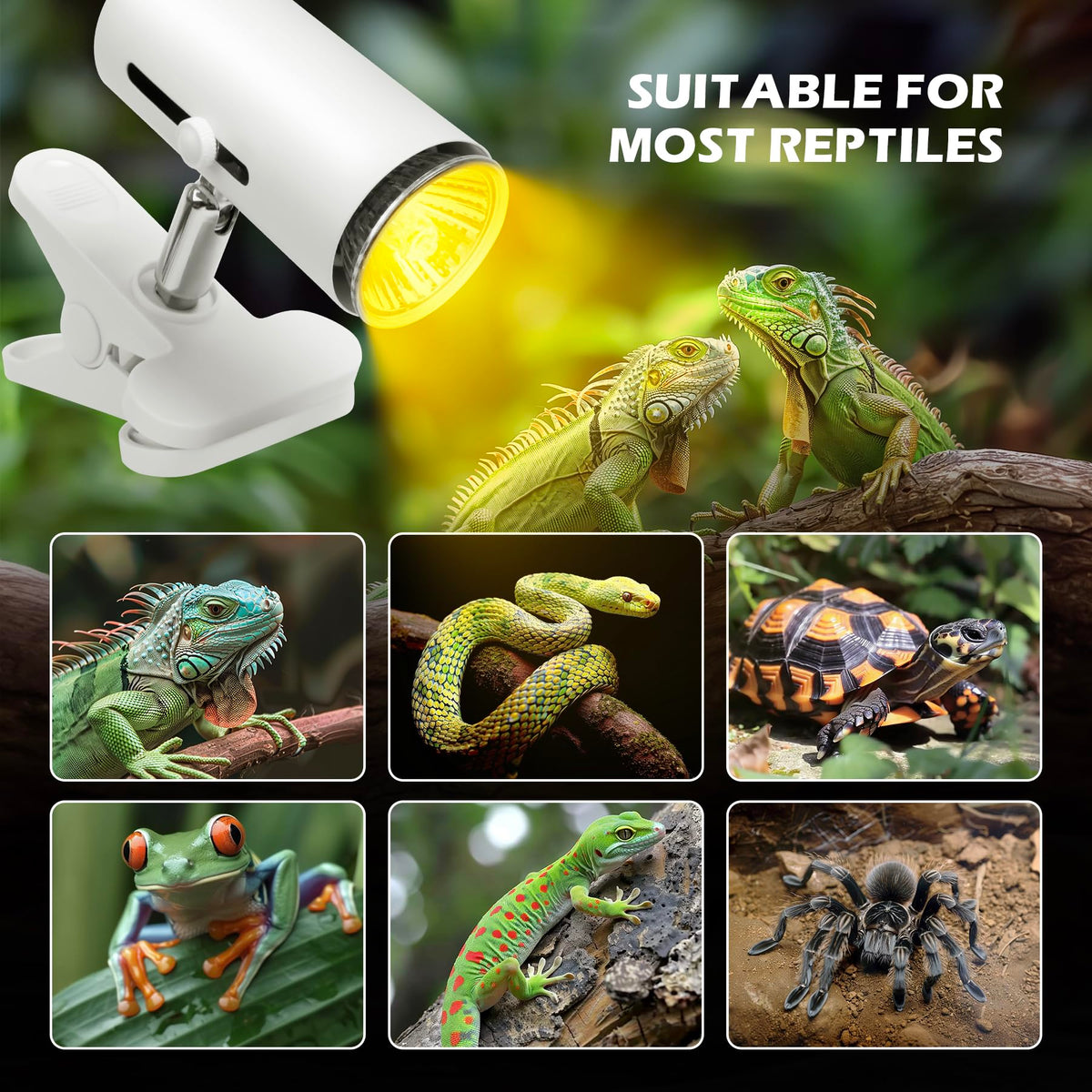 12x7x9 inch Reptile Terrarium with Heat Lamp G57944