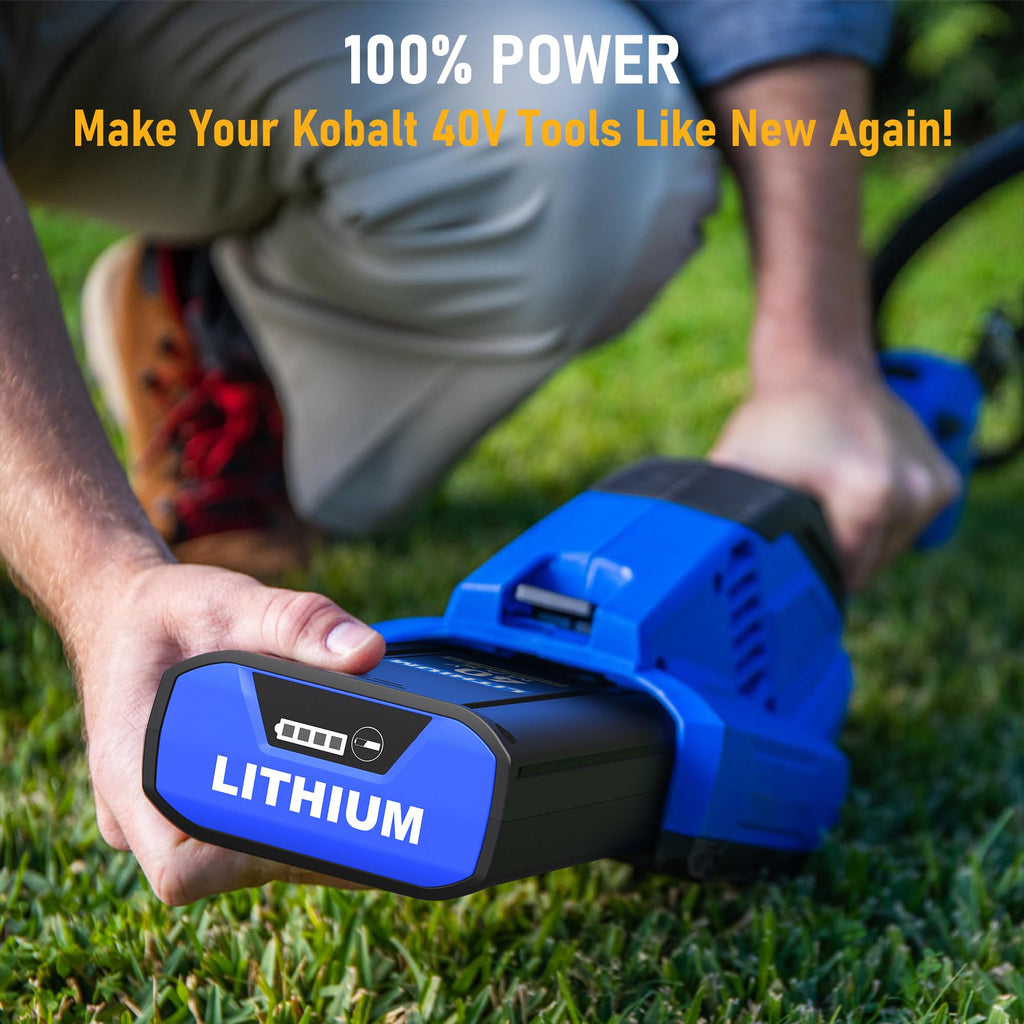 40 Volt Lithium Ion Battery W239