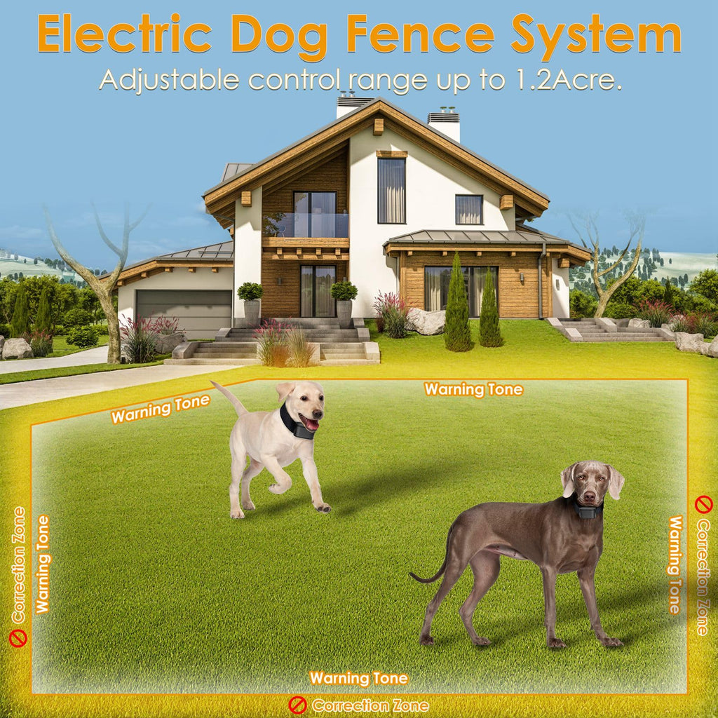 Electric Dog Fence System for 2 Dogs O316
