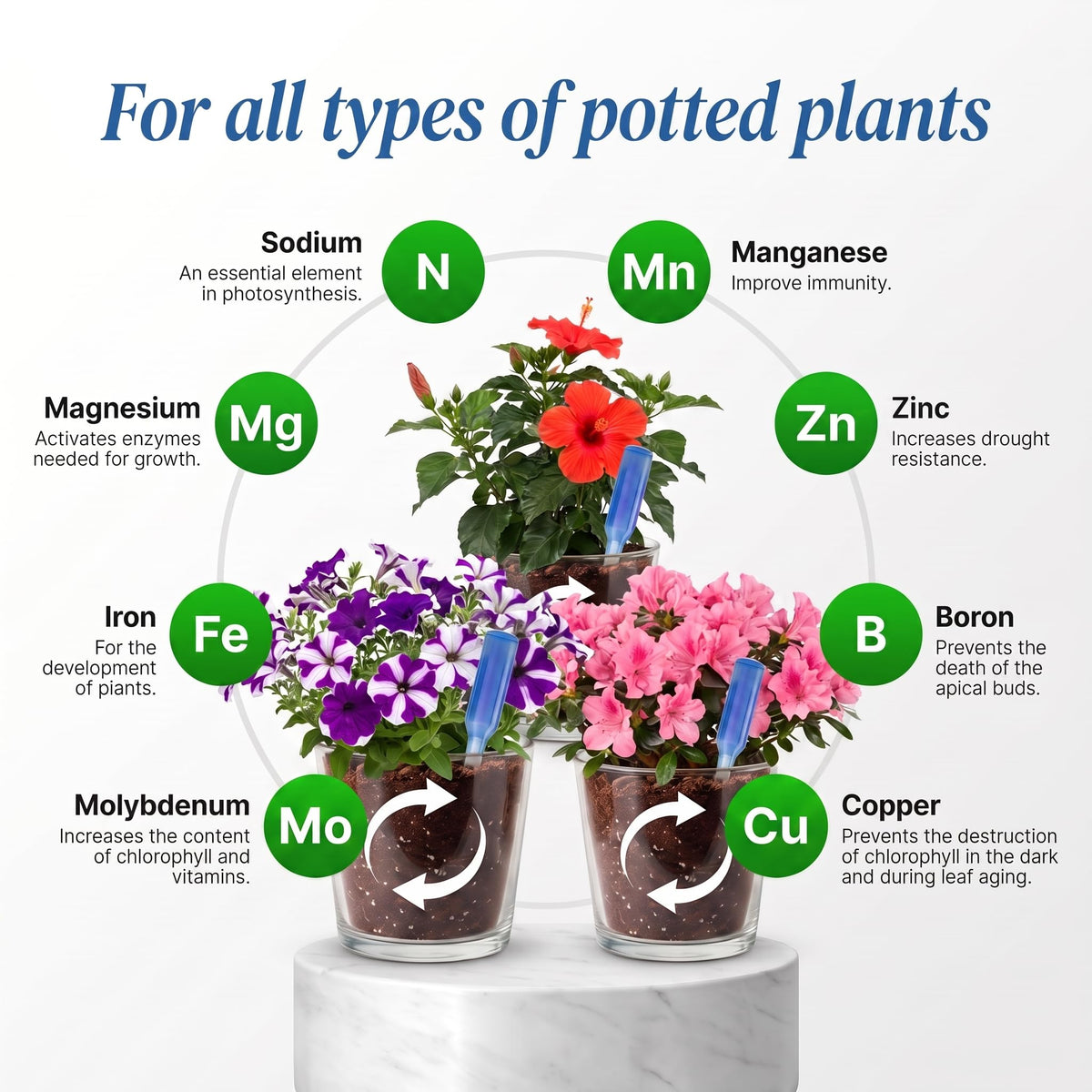 Liquid Plant Food Fertilizer 6-Pack Concentrated Nutrient Solution R7524