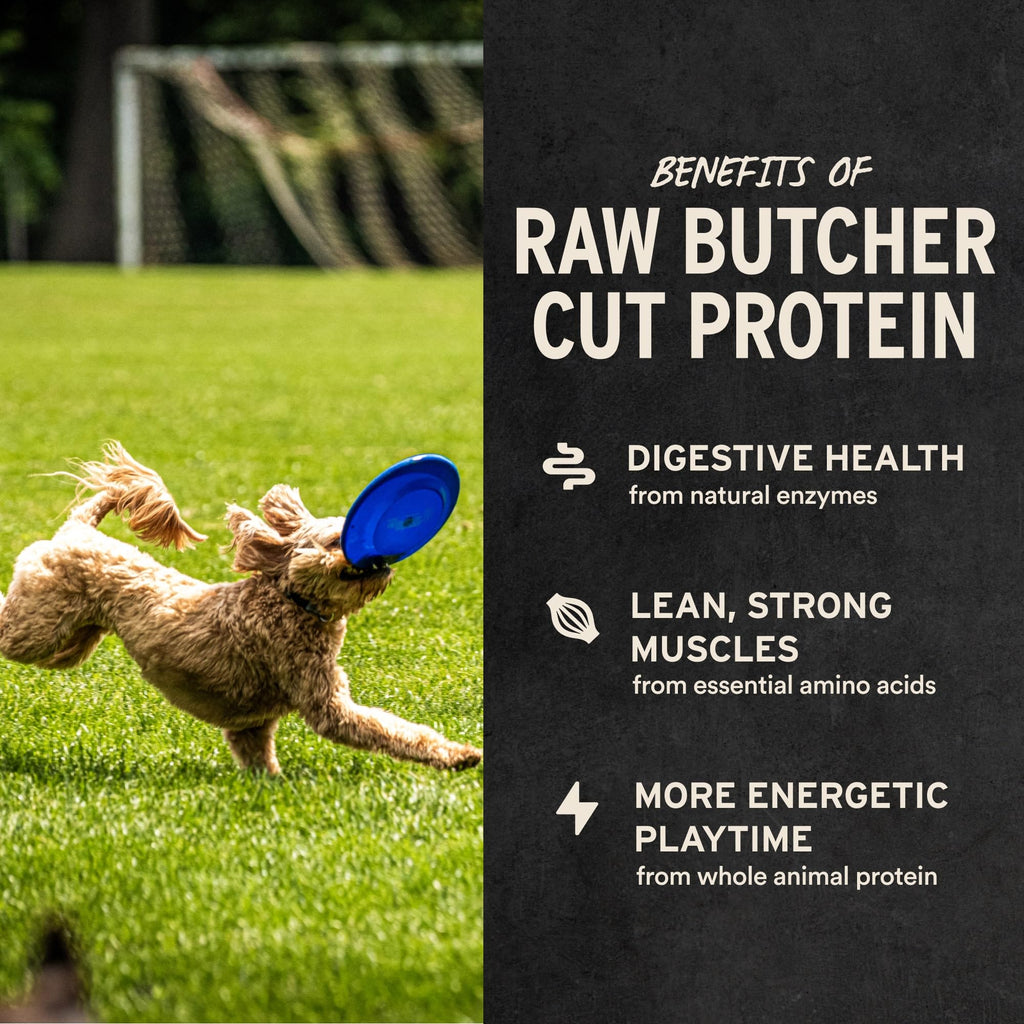 Freeze Dried Beef Liver Dog Treats 2.1 oz Y9474