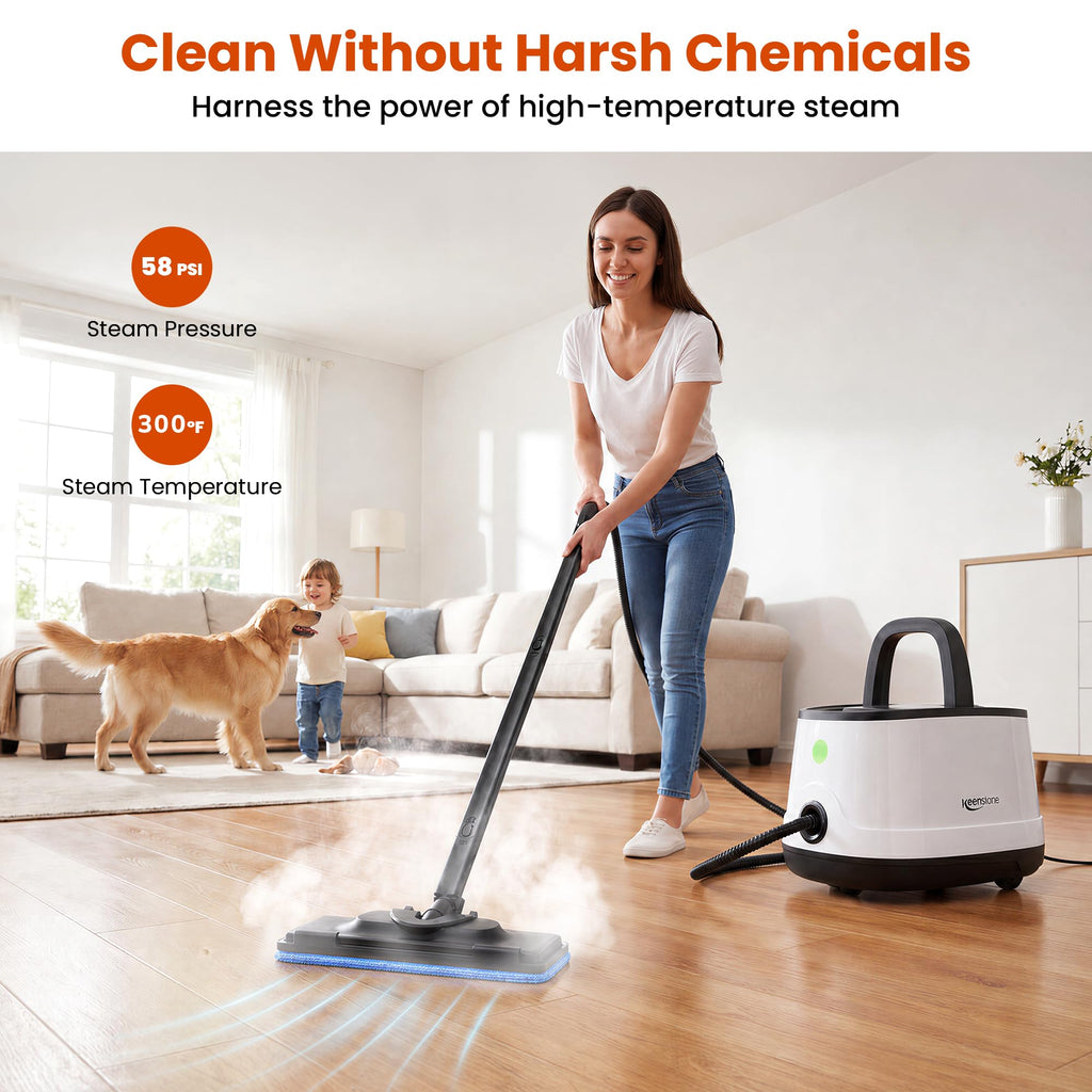 Multipurpose Steam Cleaner T3287
