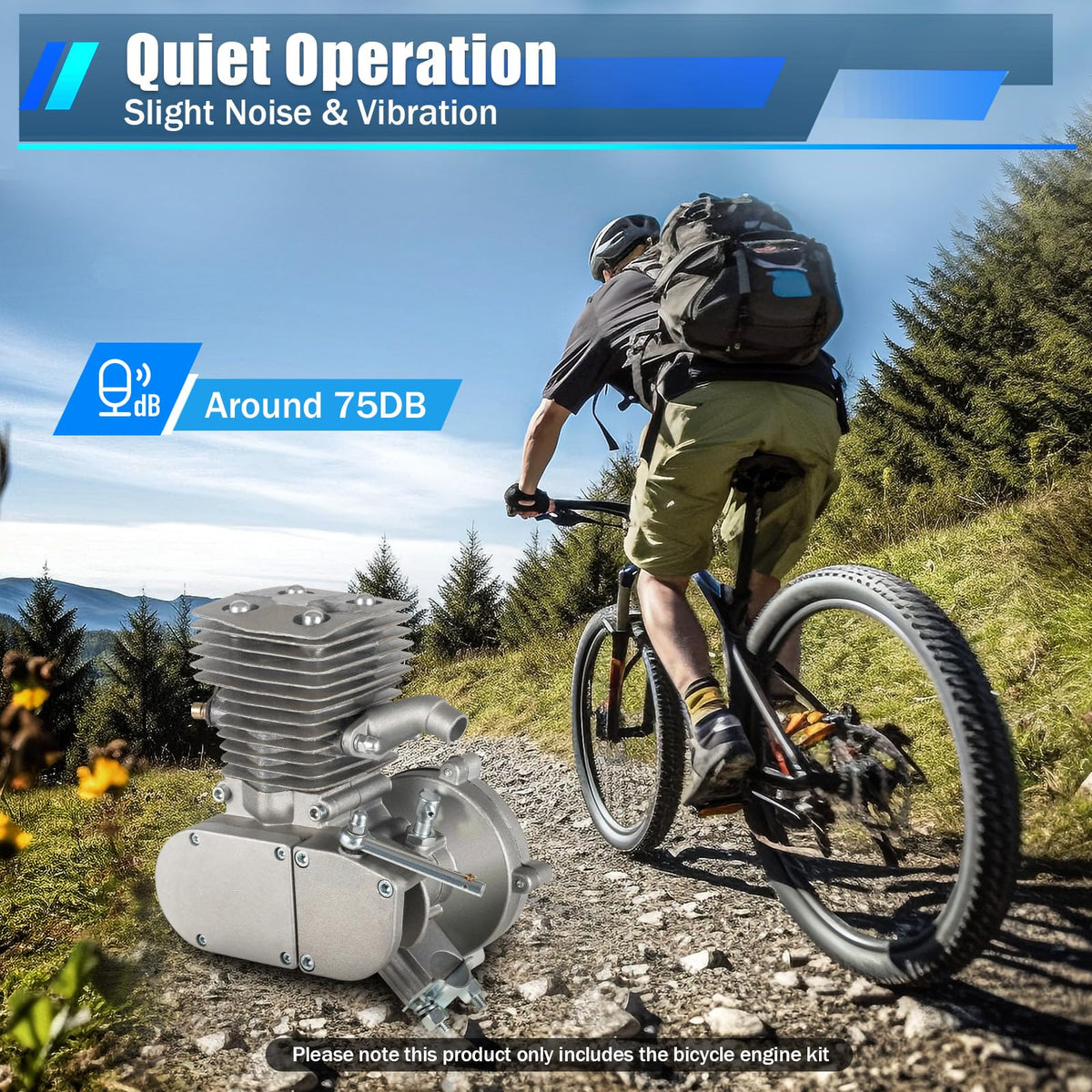 100cc 2 Stroke Bicycle Engine Kit T510867