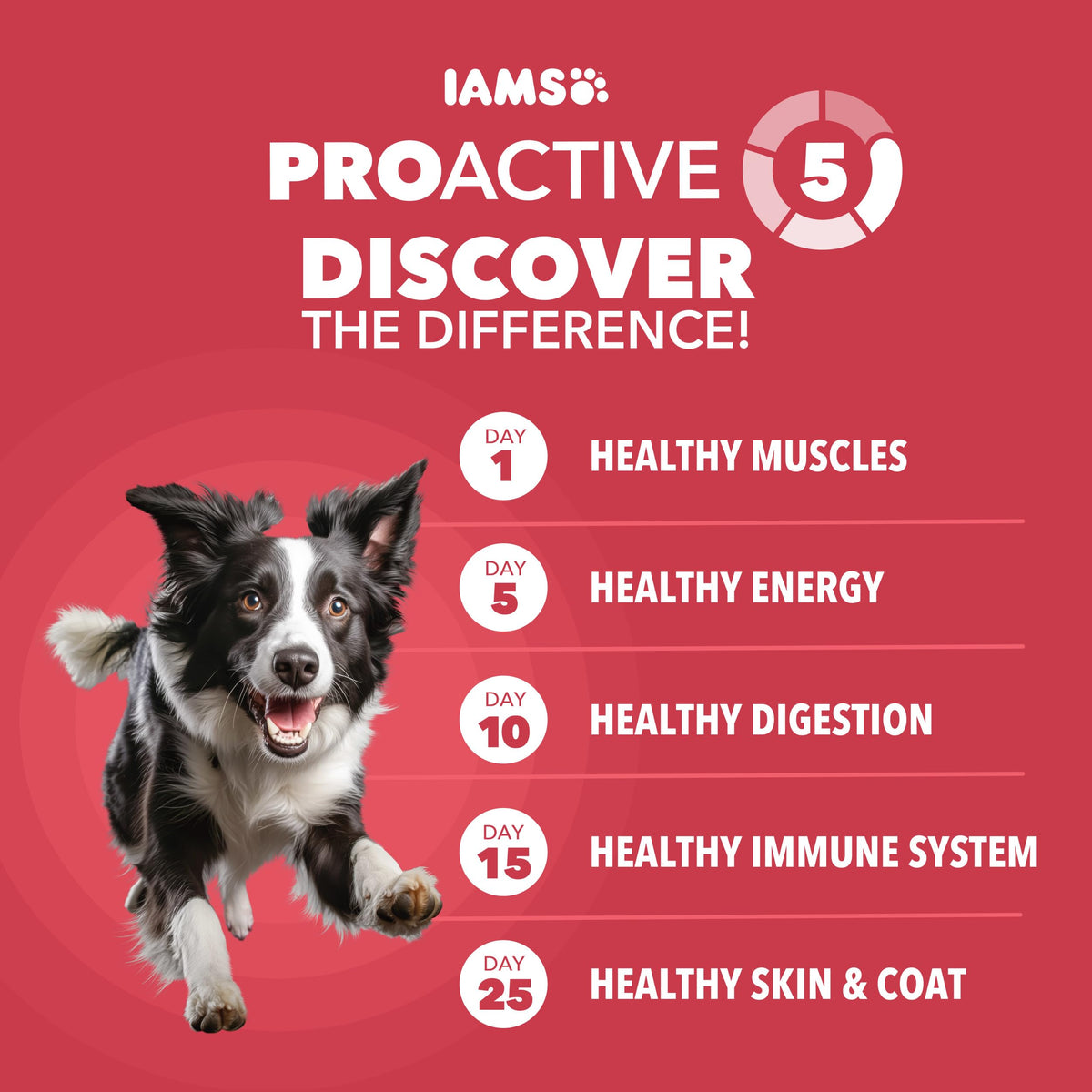 Lamb & Rice Dry Dog Food 30 lb S3864