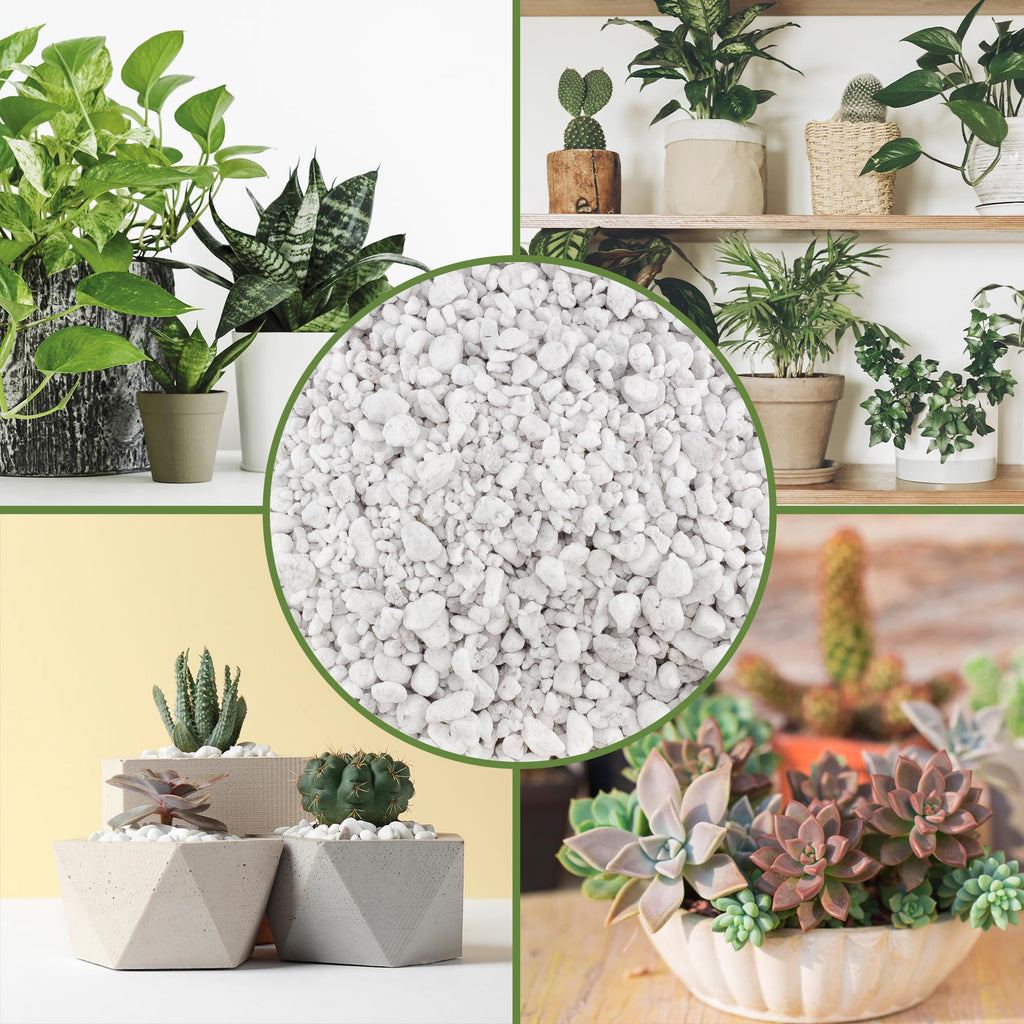 Coarse Perlite for Plants 30 Quarts L889