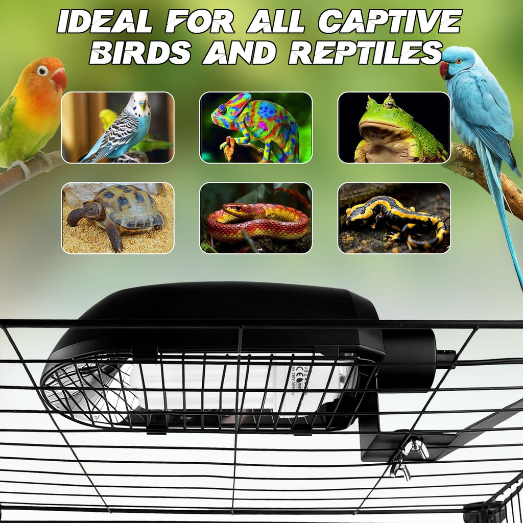 Bird Cage Light Fixture Combo Kit with Adjustable Timer Q277