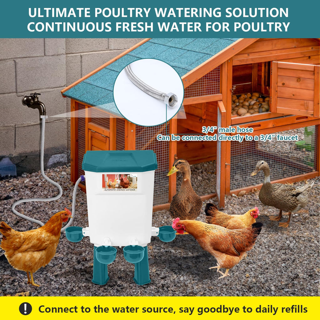 Automatic Chicken Waterer K523
