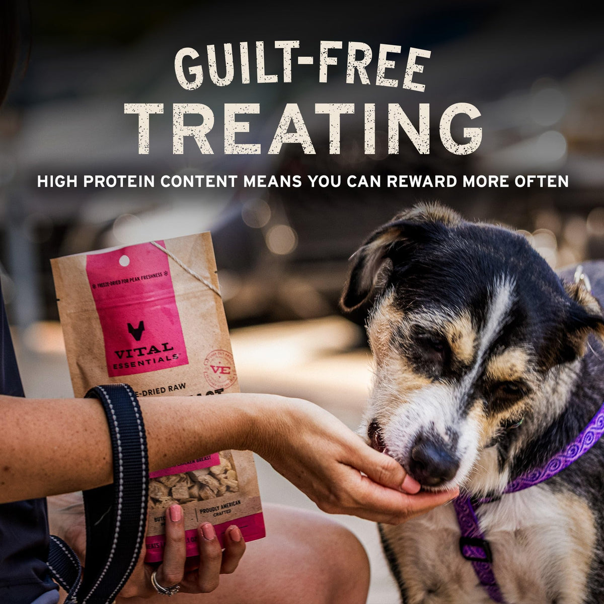 Freeze Dried Beef Liver Dog Treats 2.1 oz Y9474