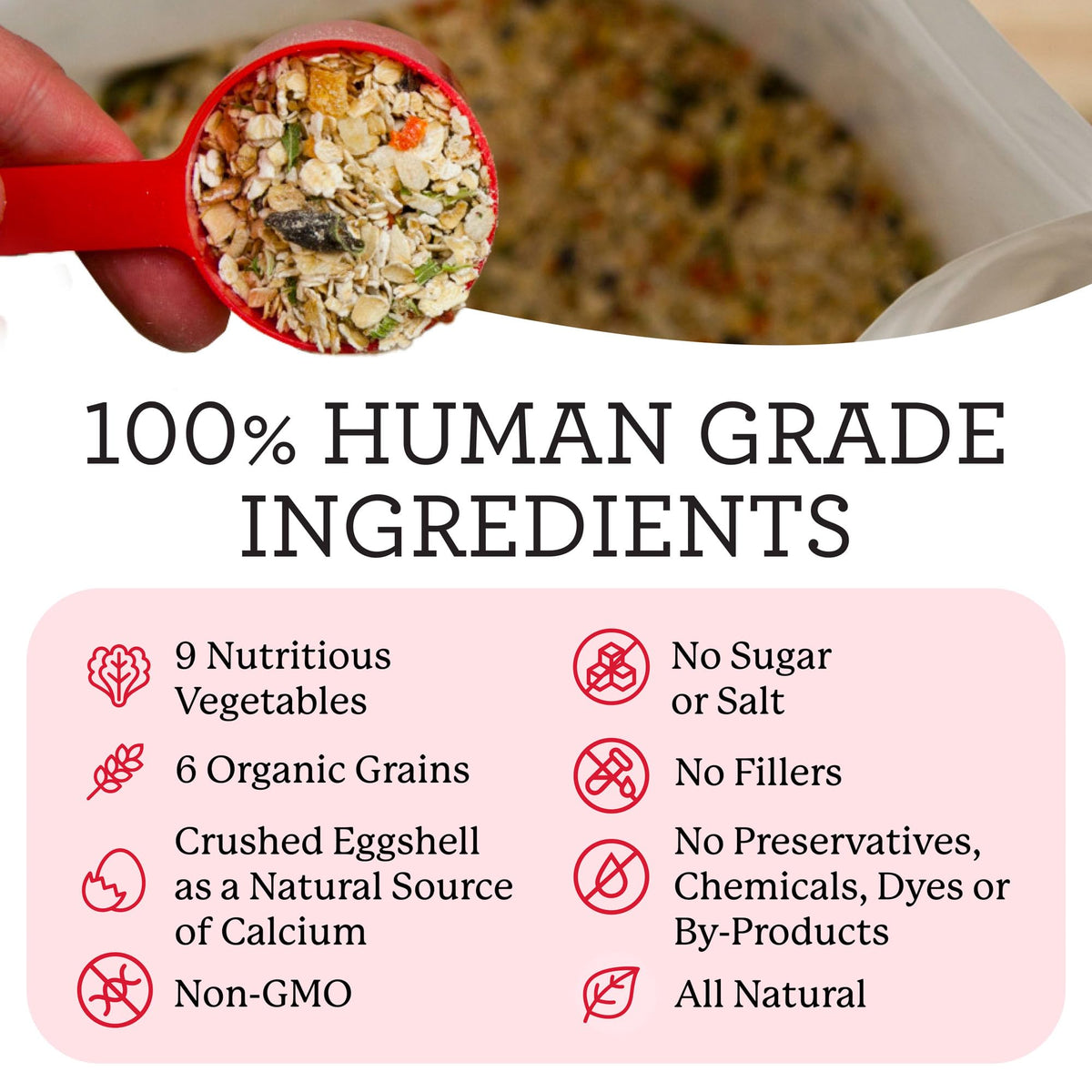 Dehydrated Dog Food Base Mix 10 lb A1593