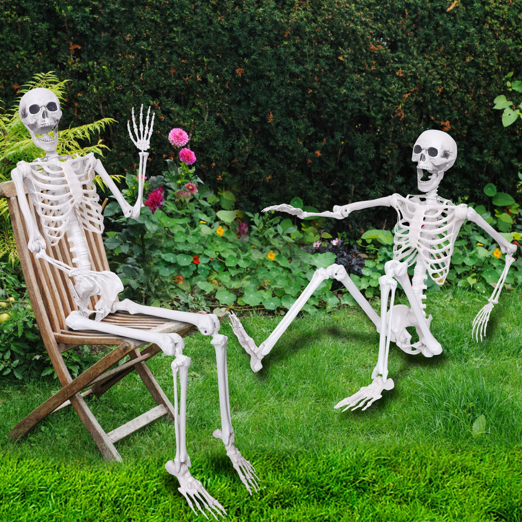 5.4ft Posable Full Body Skeleton S617010